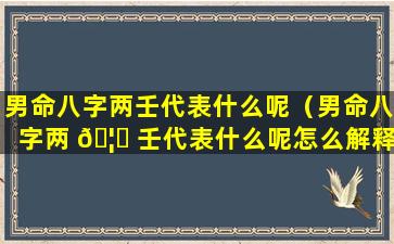 男命八字两壬代表什么呢（男命八字两 🦍 壬代表什么呢怎么解释）